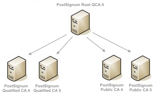 Schma Root QCA 4